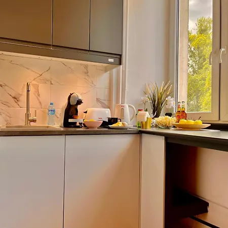 Apartment Petit 1 Bed Center Warschau