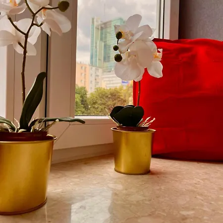 Petit 1 Bed Center Apartment