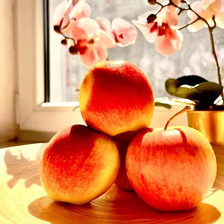 아파트 Petit 1 Bed Center 바르샤바