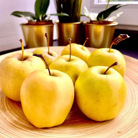 Petit 1 Bed Center *